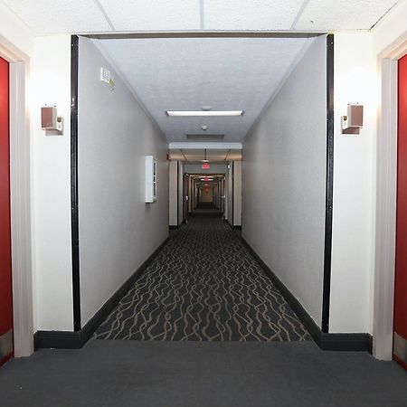 Red Roof Inn & Suites Lexington - Hamburg Bagian luar foto